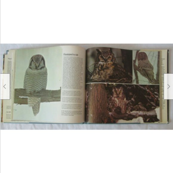 Illustrated Natural History of Canada Canadian Shield 1975 Nature Hardcover Book - Picture 3 of 5